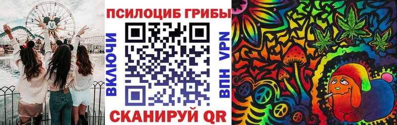 Галлюциногенные грибы Cubensis Заречный